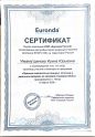 Имамутдинова прямые композитные виниры сертификат